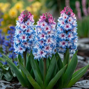 Гиацинт Пинк Мари купить по цене от 2099р. в интернет-магазине «Посадика» с доставкой почтой в в Кашине и по всей России – [изображение №1].