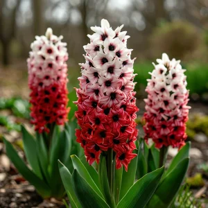 Гиацинт Скай Гарден купить по цене от 2099р. в интернет-магазине «Посадика» с доставкой почтой в в Кашине и по всей России – [изображение №1].